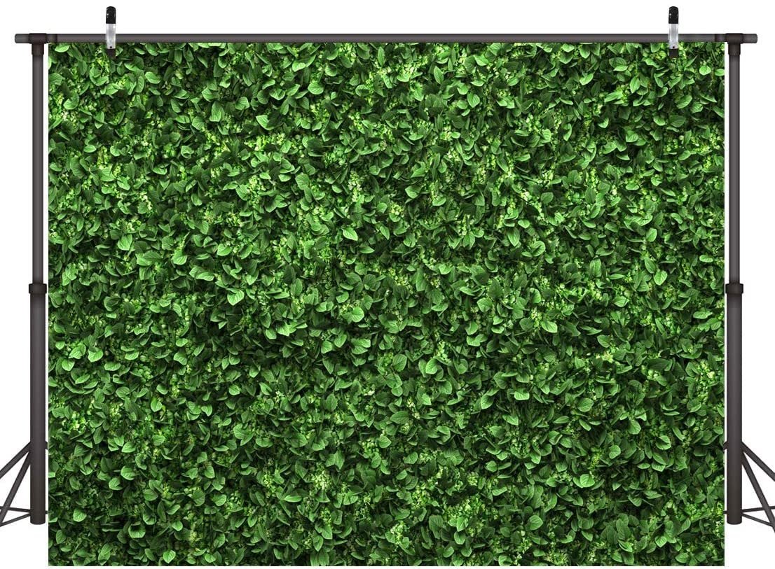 Greenery Print Boxwood Backdrop (5x7 Feet) - Ellie's Party Supply