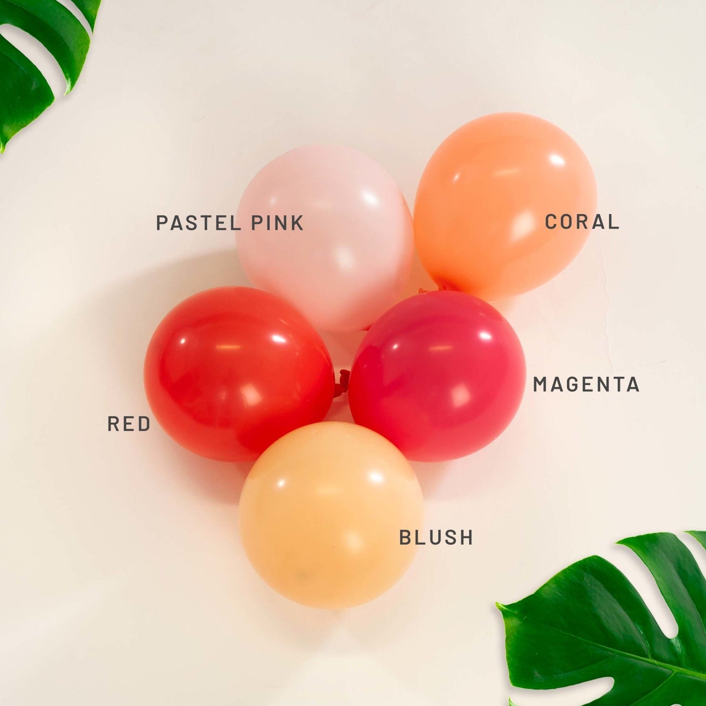Premium Magenta Latex Balloon Packs (5", 11”, 16”, 24" and 36”) - Ellie's Party Supply