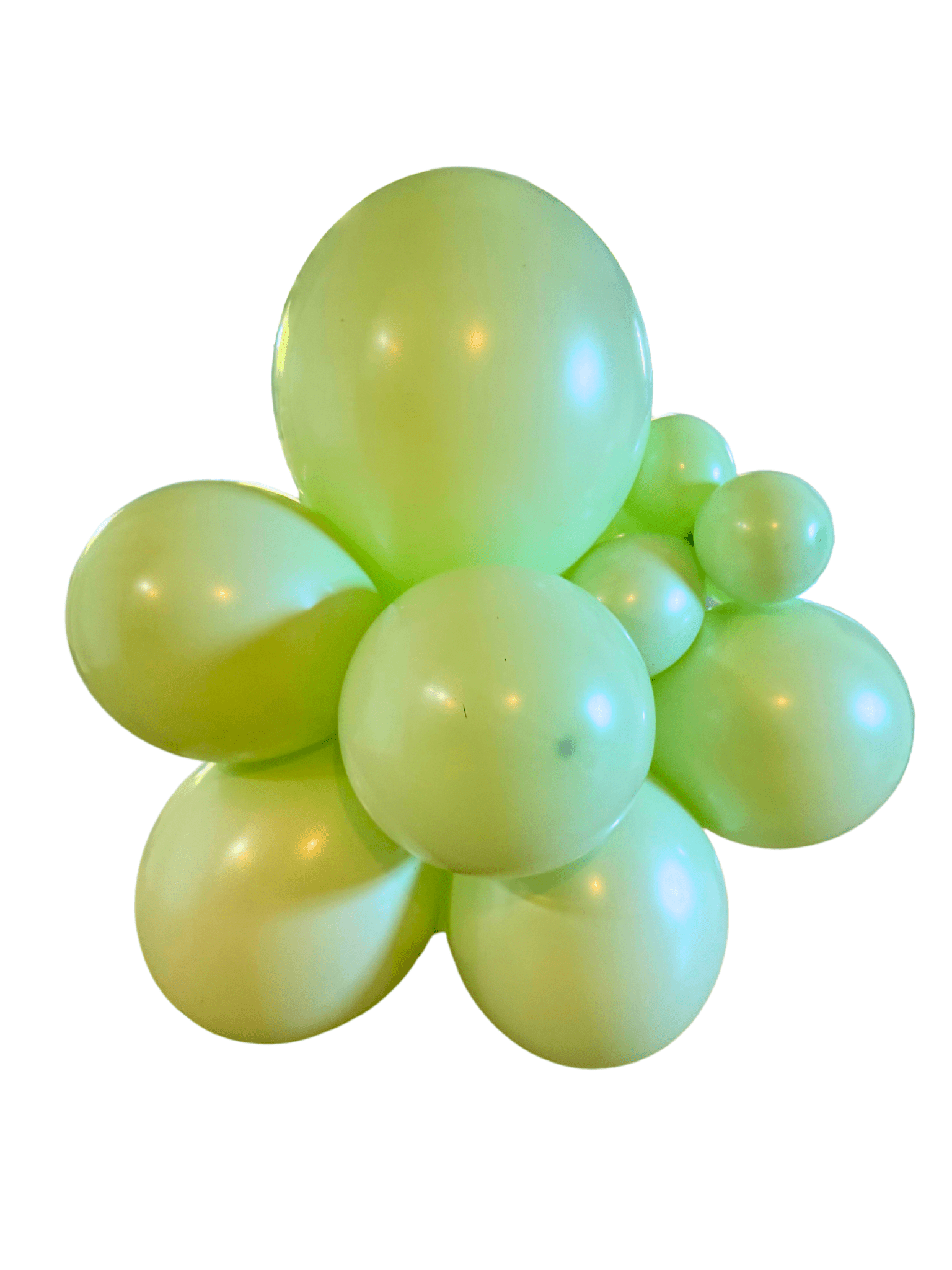 Premium Pastel Green Latex Balloon Cluster (5", 11” and 17”) - Ellie's Party Supply