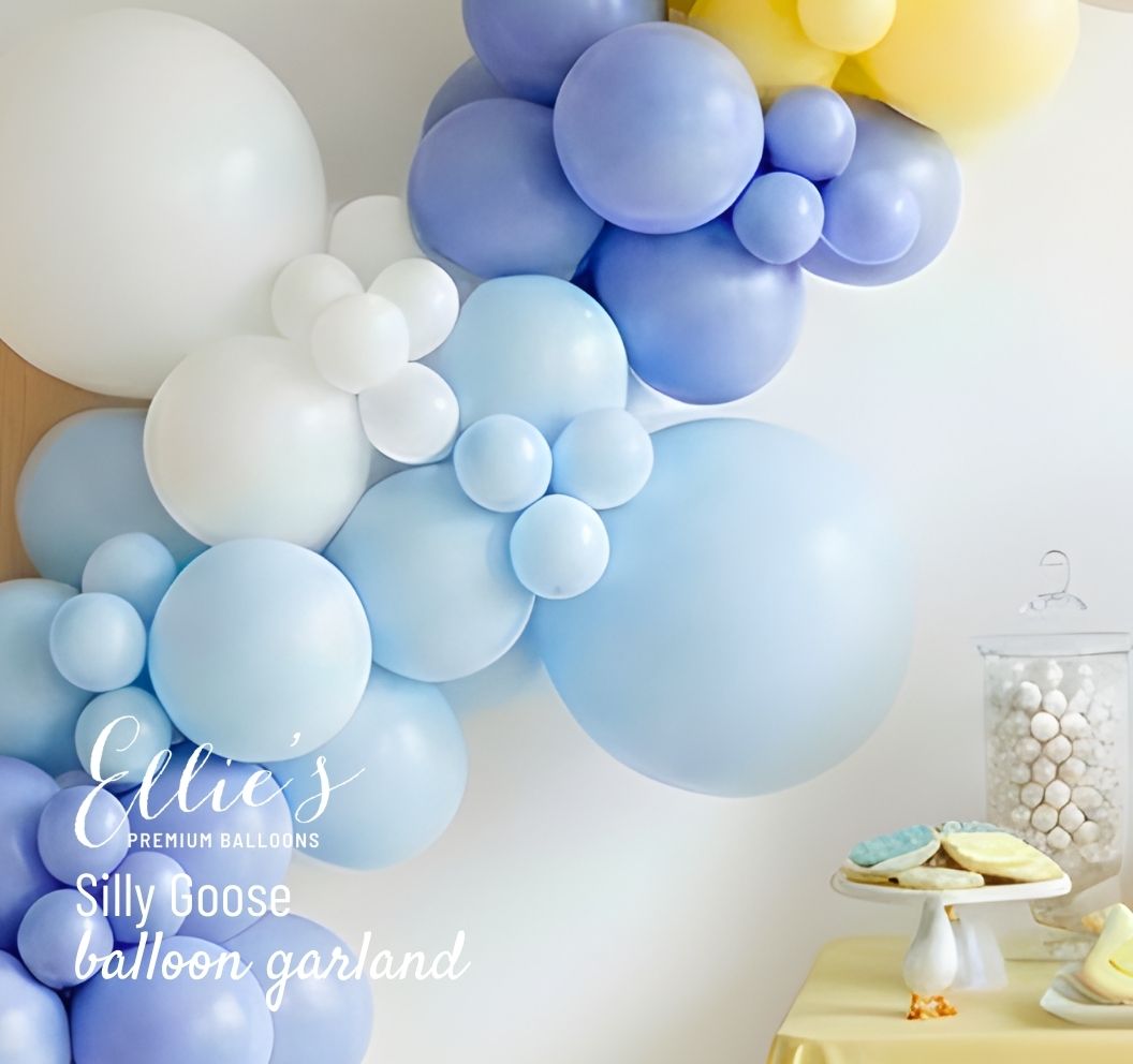 Silly Goose Balloon Cluster - Ellie's Party Supply
