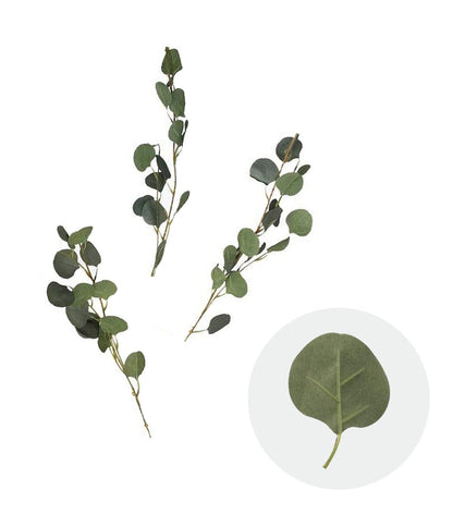 10-Pack Eucalyptus Leaves Branches - Ellie's Party Supply