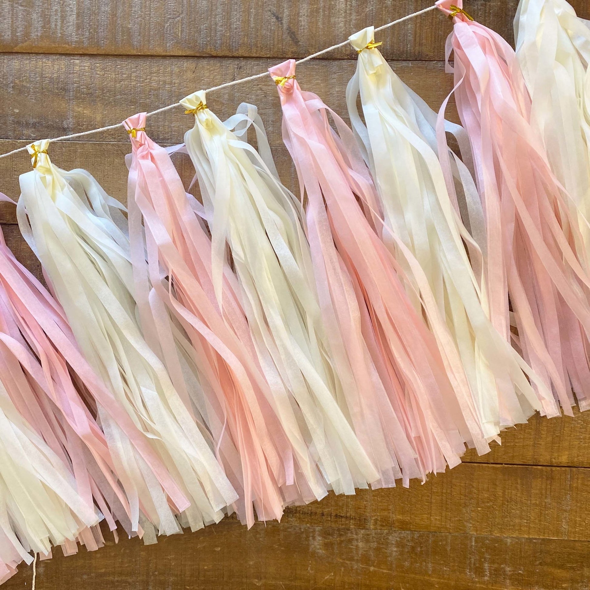 Pastel Pink Paper Tassel Tail - Tassel DIY Garland Kit