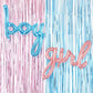 Gender Reveal Blue & Pink Fringe Backdrop With Boy & Girl Balloons - Ellie's Party Supply