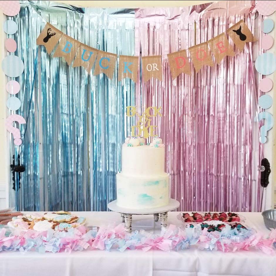 Gender Reveal Blue & Pink Fringe Backdrop With Boy & Girl Balloons - Ellie's Party Supply