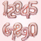 Giant Rose Gold Mylar Foil Number Balloons (34 Inches) - Ellie's Party Supply
