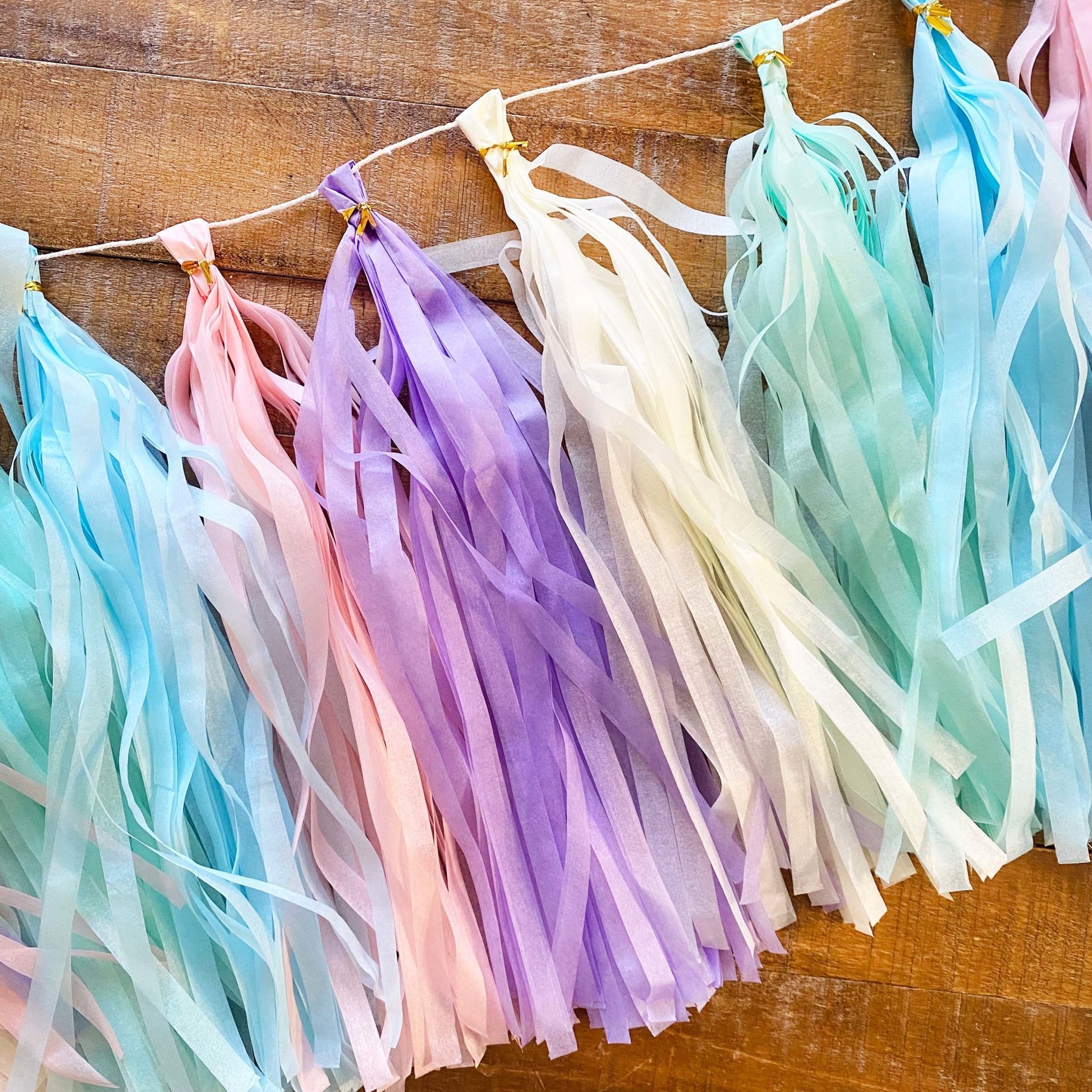 Boho Rainbow Tassel Garland