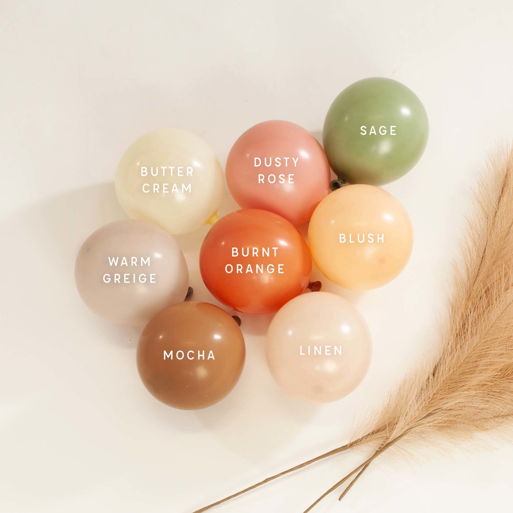Premium Buttercream Latex Balloon Packs (5", 11”, 16”, 24”, and 36”) - Ellie's Party Supply