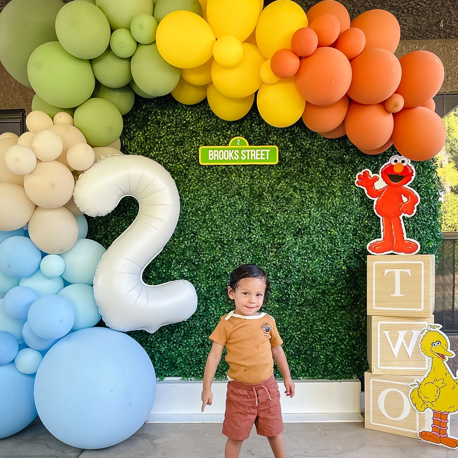 Sesame Street Balloon Arch - Blue Orange Yellow Green Balloon Garland Kit - Ellie's Party Supply