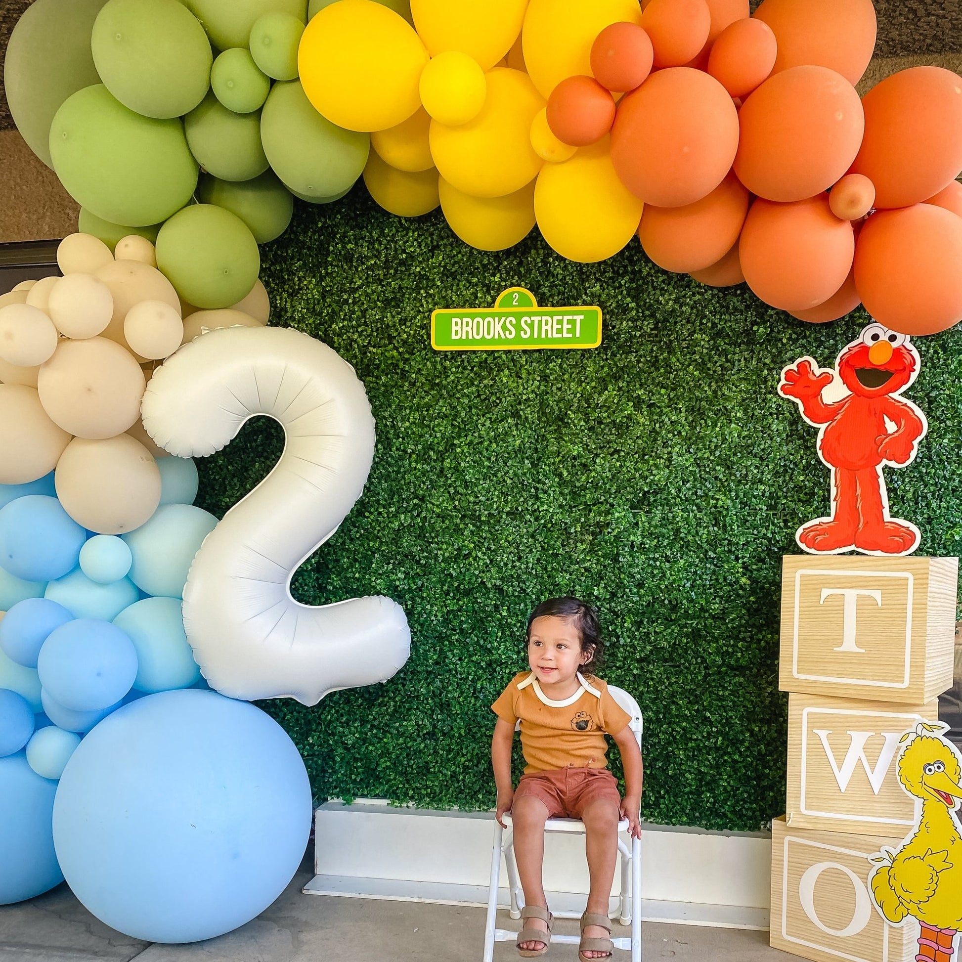 Sesame Street Balloon Arch - Blue Orange Yellow Green Balloon Garland Kit - Ellie's Party Supply