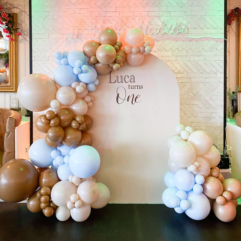 Gender Reveal Blue & Pink Fringe Backdrop & Balloons from Ellie's Party  Supply