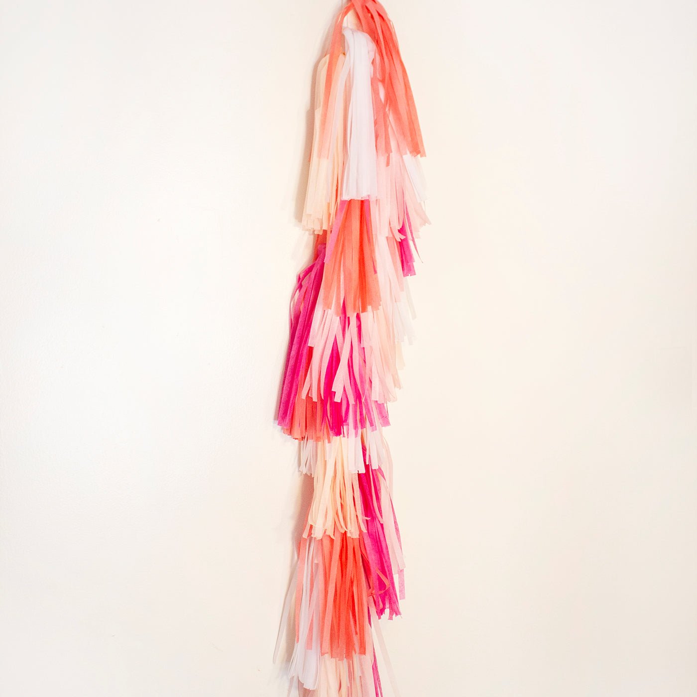 Tropical Paper Tassel Tail DIY Garland Kit at Ellie's Party Supply
