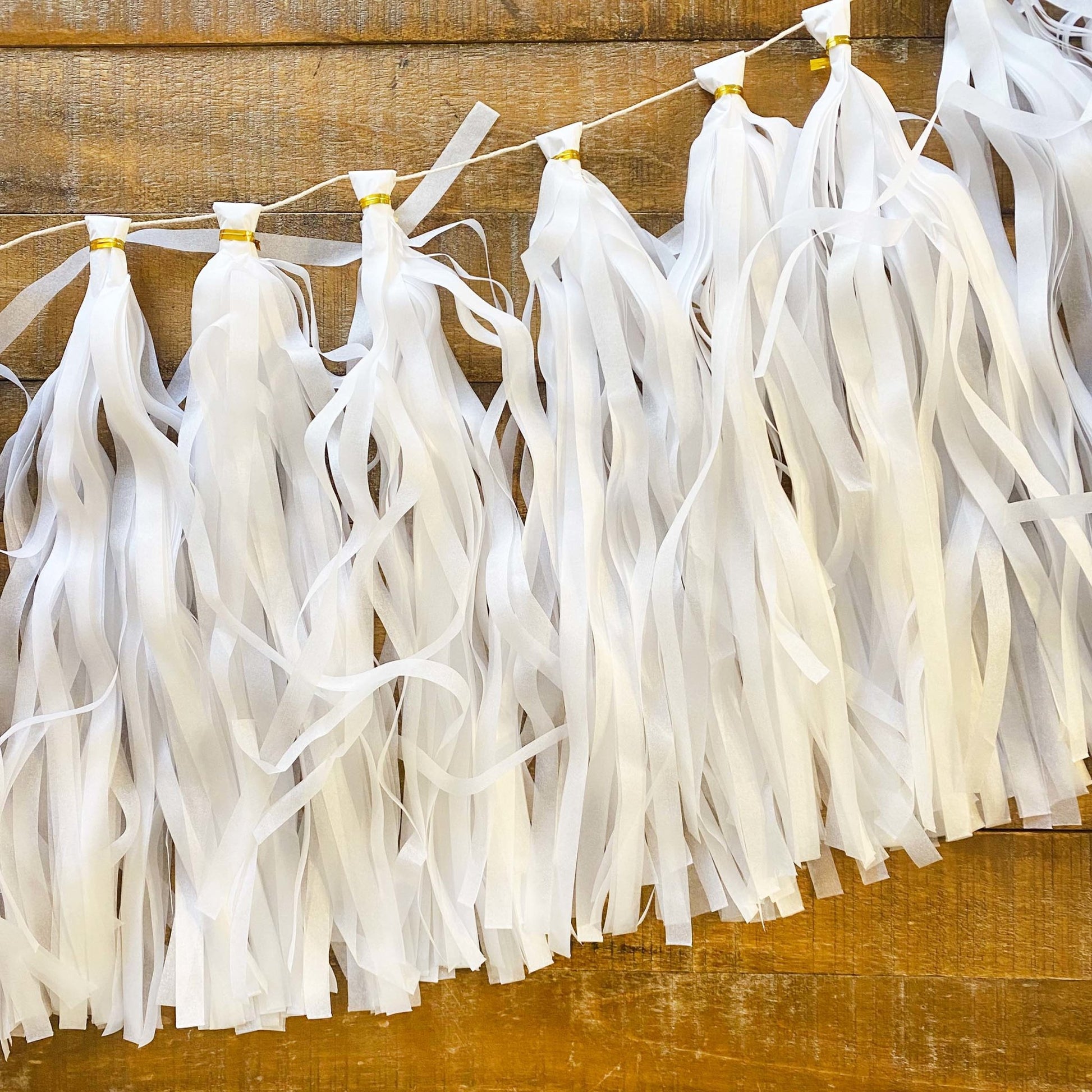 Tissue Paper Tassel Garland DIY Kit – Sugar Moon Bloom